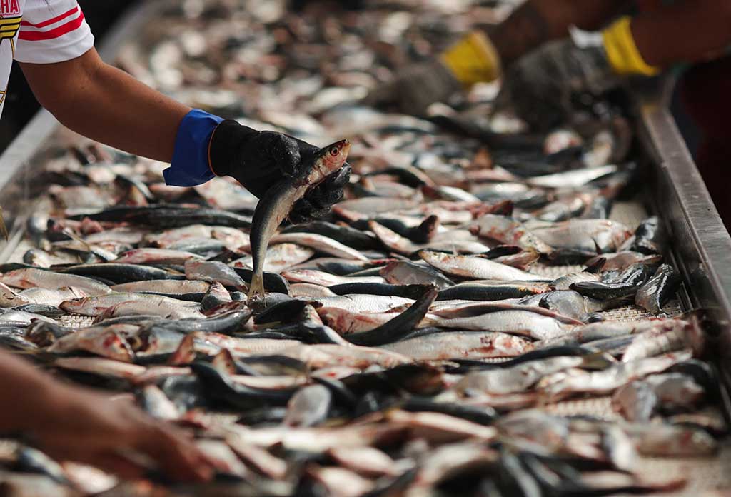 image Tariffs as a tool of geoeconomics