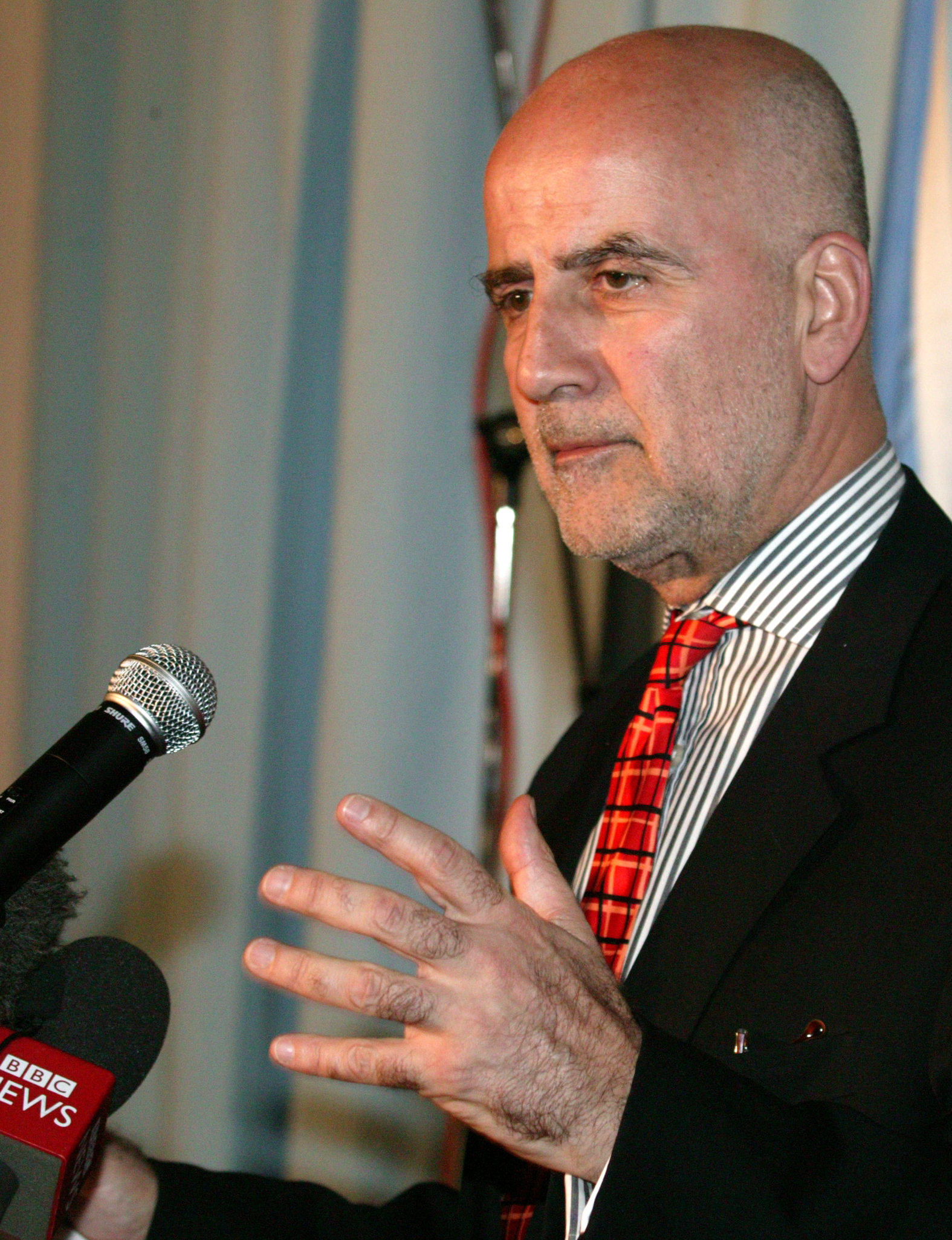 Alvaro de Soto image