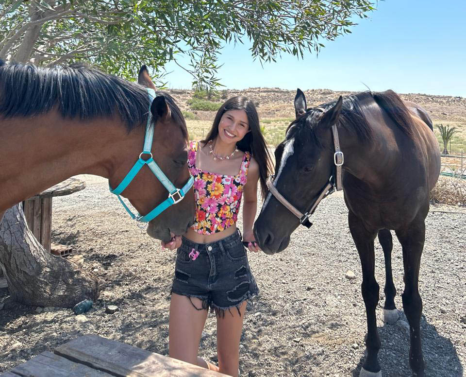 image A loving home for retired racehorses