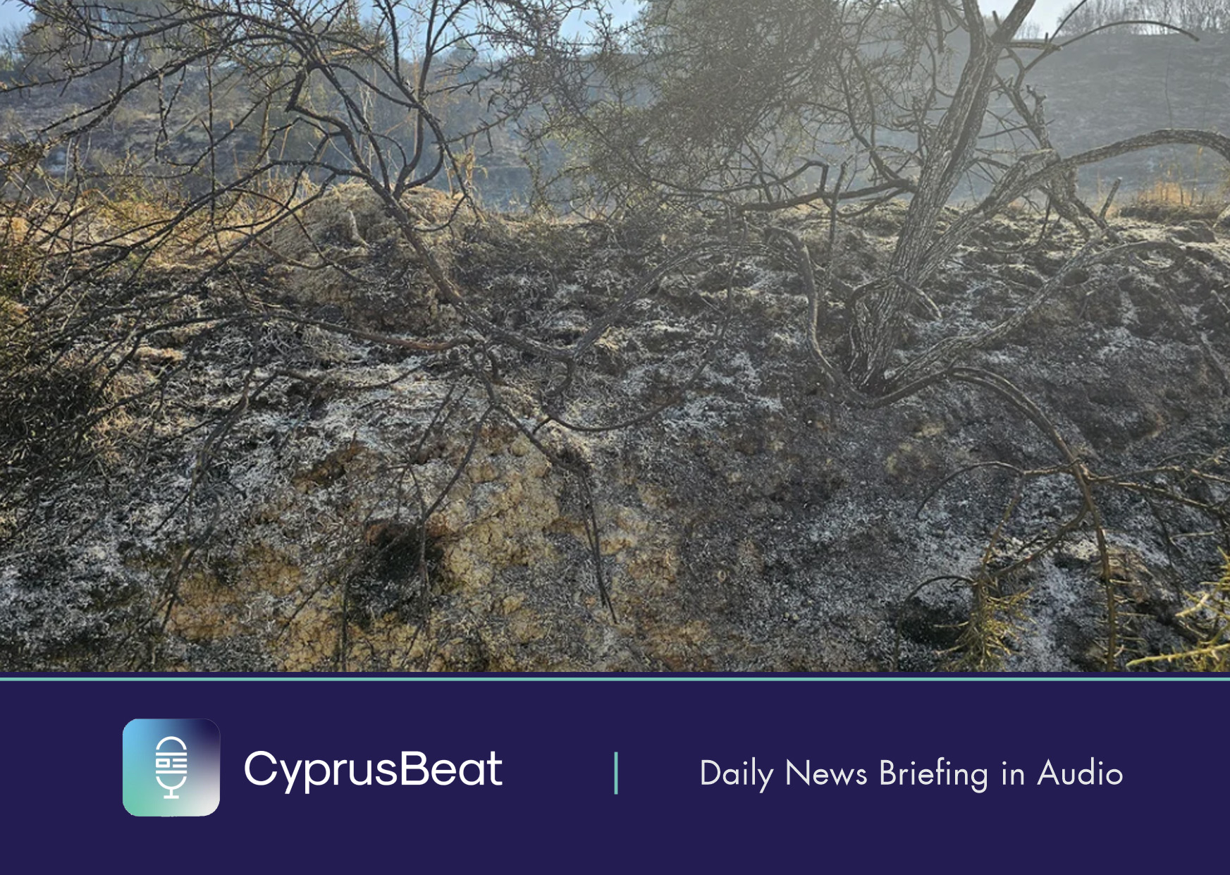 image Daily News Briefing