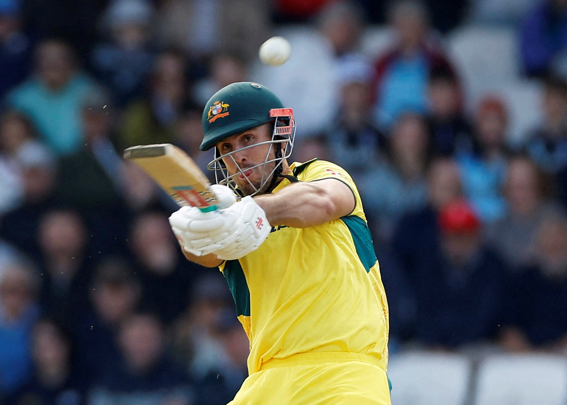 image Australia win T20 series against South Africa after Maxwell heroics
