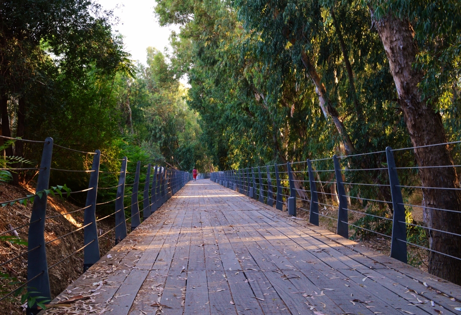 image Musical route, food and cocktails on river walk