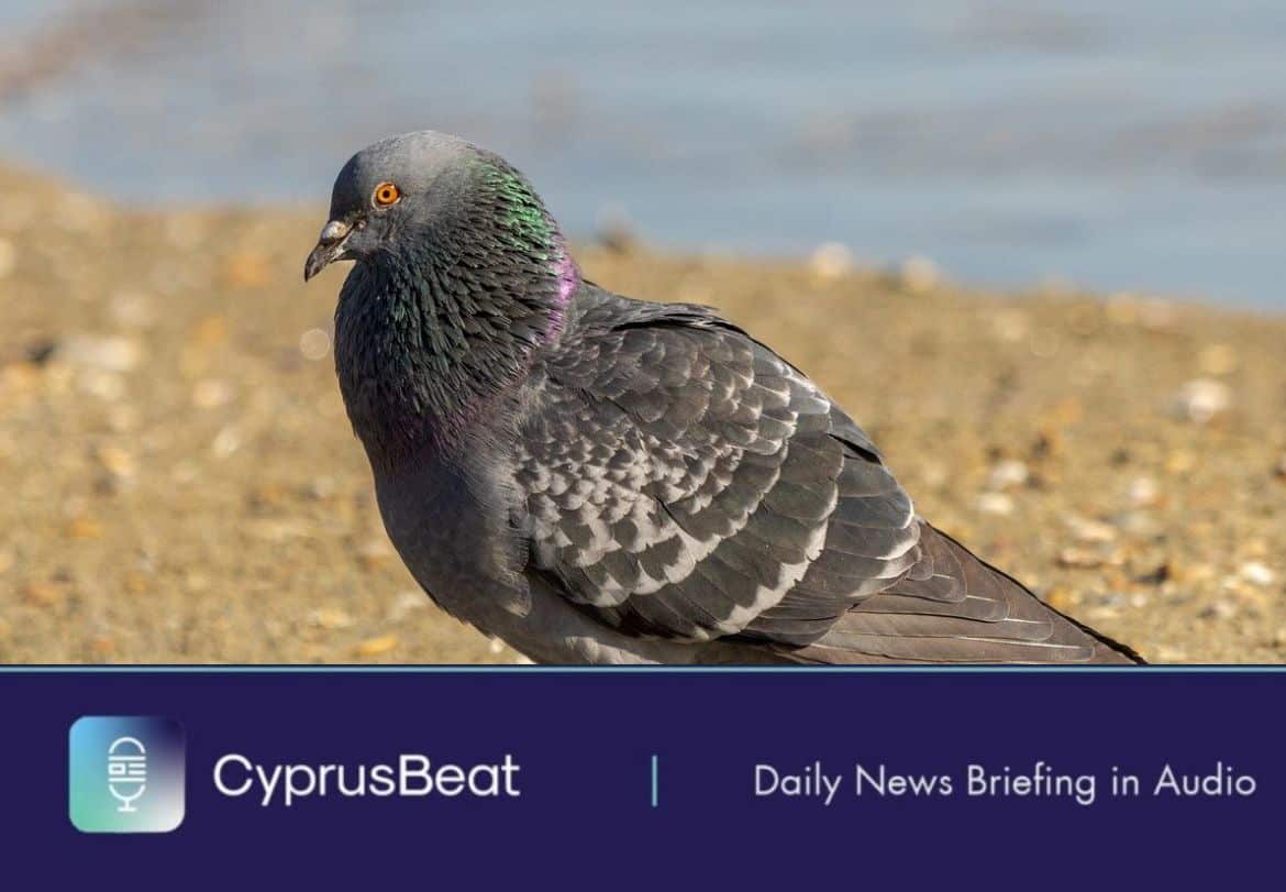 image Daily News Briefing